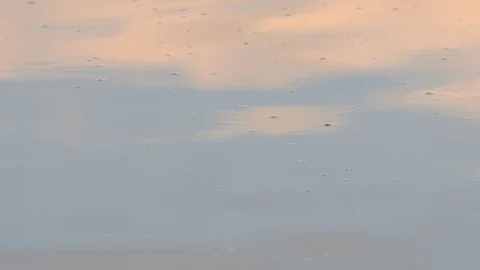 Waves at the danube river Stock Footage 126756680