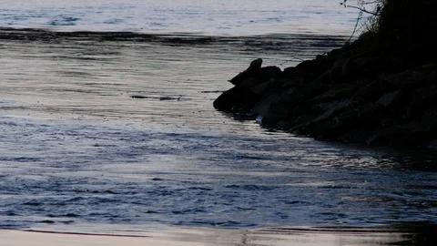 Waves at the danube river 库存影片 126757167