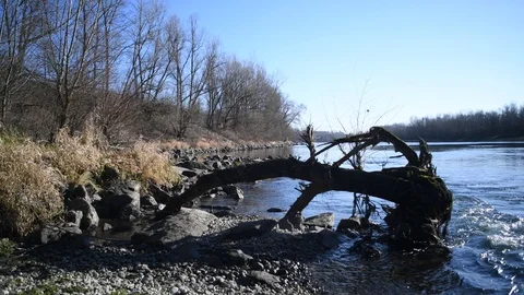 Waves at the danube river in Winter Stock Footage 126522120
