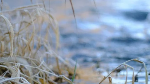 Waves at the danube river in Winter 库存影片 126524051