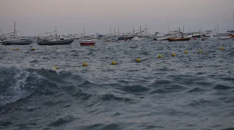 Waves at dawn 스톡 동영상 55521962