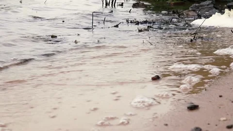 The waves of the dirty river splash the sandy beach with water nature pollution Stock Footage 152726978