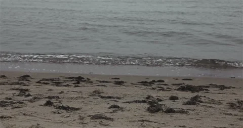 Waves on the dirty sand Stock Footage 297580121