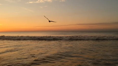 Waves Drone Beach Bird Shot Stock Footage 106765291