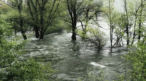 Waves engulfing trees in the water after big storm, large flood, open dam. Stock Footage 37792098