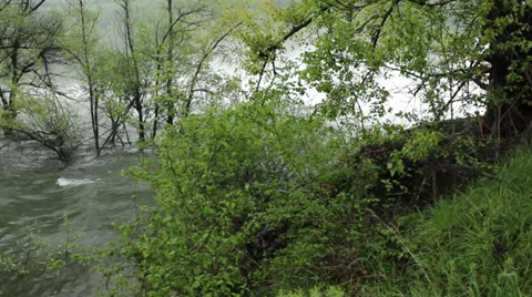 Waves engulfing trees in the water after big storm, large flood, pan left. Stock Footage 37798494