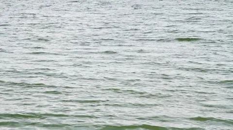 Waves estuary Stock Footage 47894068