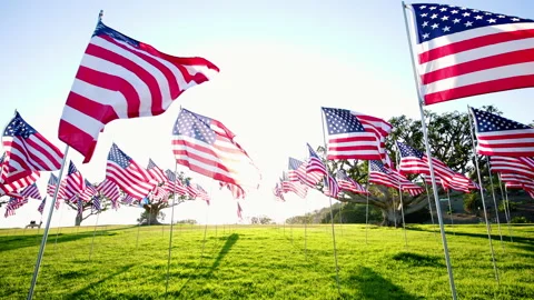 Waves of Flags on annual ceremony of honoring the lives lost in attacks 9,11,01 Stock Footage 217415326