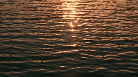 Waves floating on the lake at sunset in southern poland Stock Footage 208820882