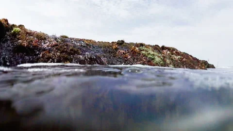 Waves flowing through a Coral reef ,serf with underwater air bubble Stock Footage 113688253