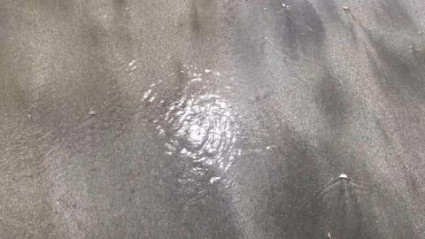 Waves flows slowly on beach sand Stock Footage 295567717