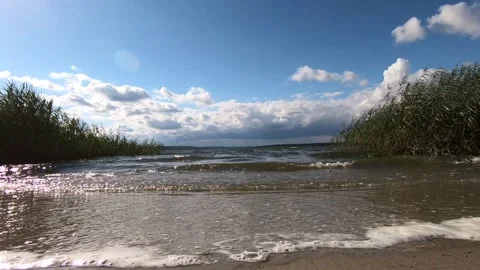 Waves with foam roll out onto the sandy shore. Stock Footage 141135970