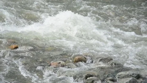 Waves, foam, spray in the stream of the Katun River Stock Footage 76761727