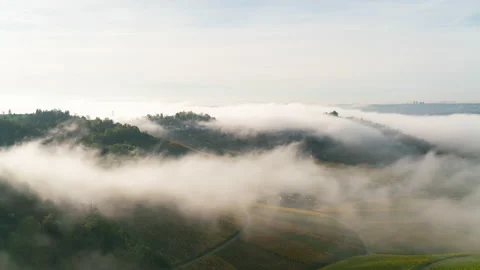 Waves of fog are climbing over wineyards on a sunny morning in autumn Stock Footage 221367737