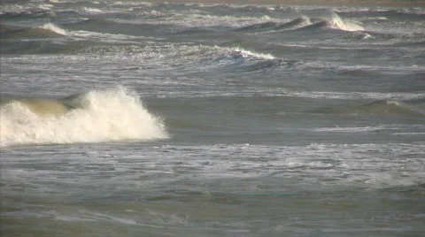 Waves Видео 660546