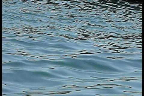 Waves Stock Footage 755423