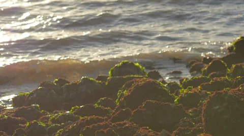 Waves 库存影片 30464252