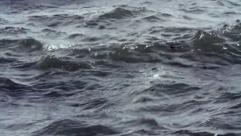 Waves  Stock Footage 80843916