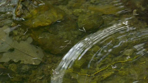 Waves Stock Footage 121251620