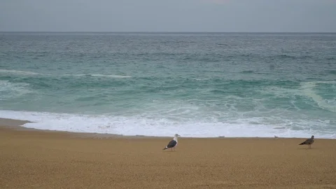 Waves Video stock 129206071