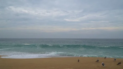 Waves Stockbeeldmateriaal 129206143