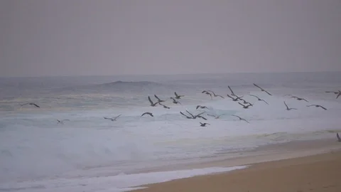 Waves Video stock 129206360