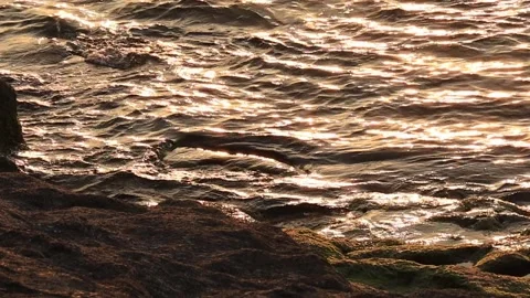 Waves Stock Footage 256238056