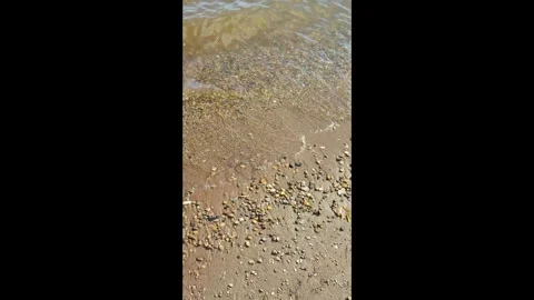 Waves Stock Footage 283011324