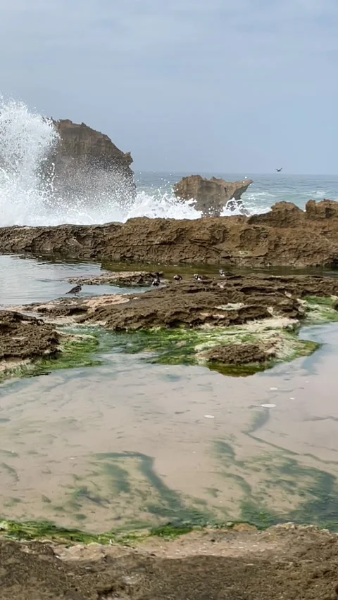 Waves Stock Footage 333581253