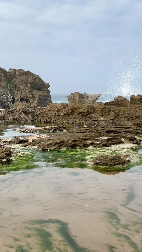Waves Stock Footage 333581306