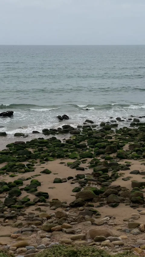 Waves Stock Footage 333581486