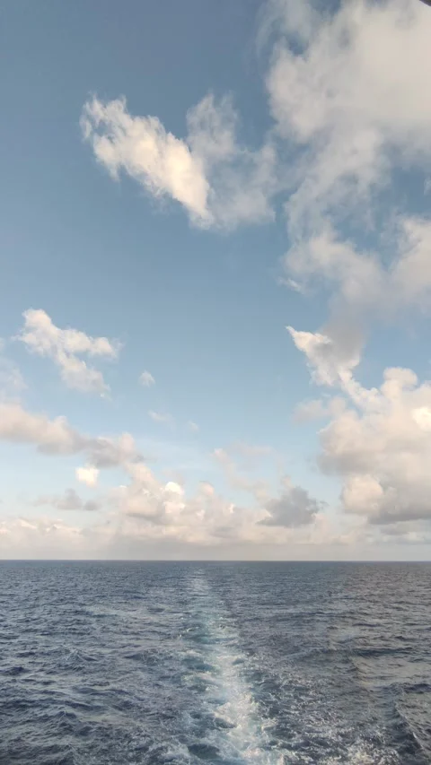 The waves formed behind the ship. Stock Footage 311489826