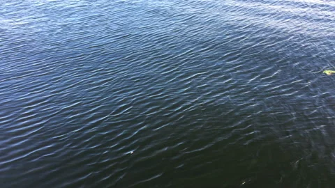 Waves, gentle interference pattern on calm Stockholm lake Stock Footage 159398017