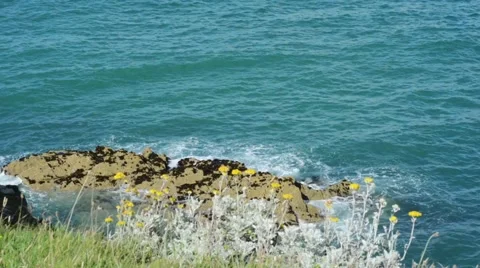 Waves gently breaking on rock on Irish coastline, Wexford, Ireland. Stock Footage 65456016
