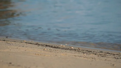 Waves gently breaking on a sandy shore Stock-Footage 94402752