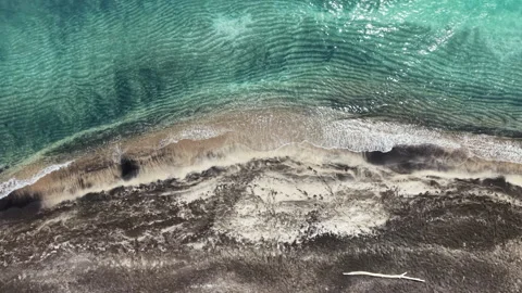 Waves gently crash on a sandy beach while thin white clouds hover over the blue Stock Footage 339497210