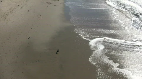 Waves gently flow over shore in beach scenic (High Definition) Stock Footage 358809