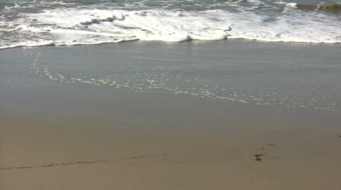 Waves gently flow over shore in beach scenic (High Definition) Video stock 365023