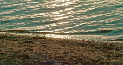 Waves gently hitting a lakeside beach at sunset Stock Footage 263933425