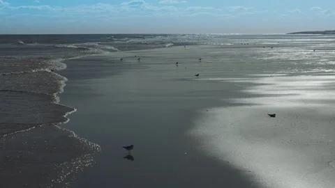Waves gently lap dark, wet sand Stock Footage 346260434