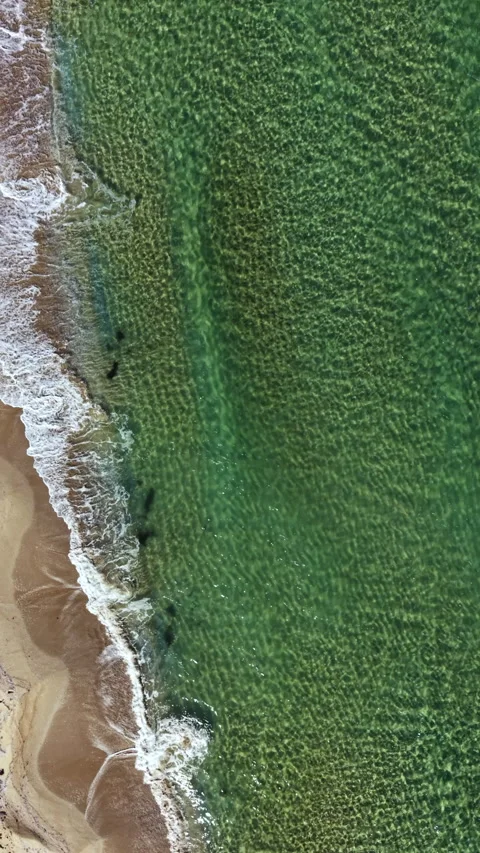 Waves gently lap the sandy shore under the clear blue sky as sunlight dances on Stock Footage 321755447