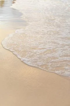 Waves gently lapping at a serene sandy beach during sunset with soft golden hues Stock Photos