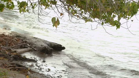 Waves Gently Lapping a Tropical Shore Stock Footage 113415322