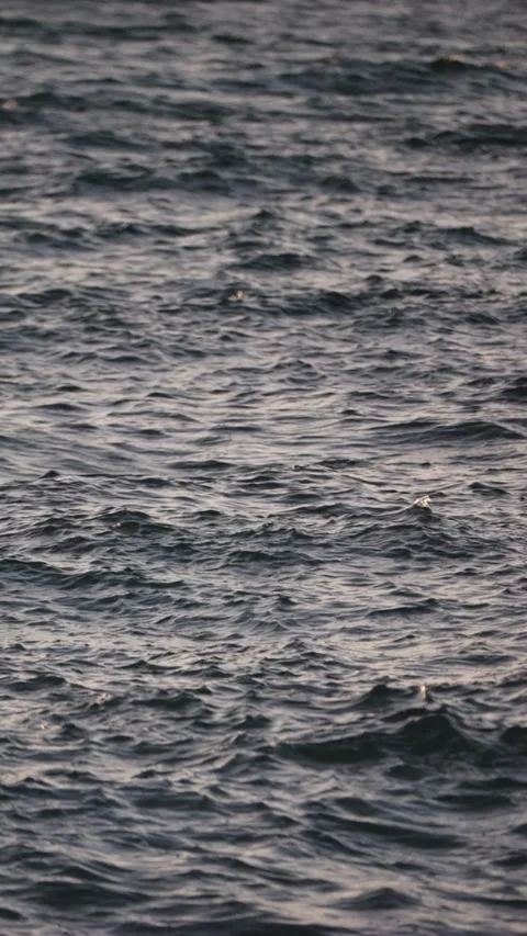 Waves gently move on the sea surface during sunrise with sunlight reflectio.. Stock Footage 323164751