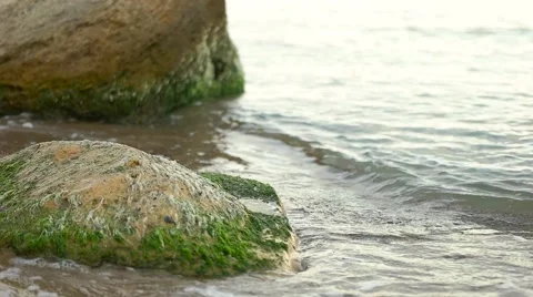 Waves glide over the rocks on the shore Stock Footage 65292919