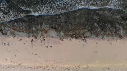 Waves Gliding Into Sand Moving Drone Shot - Malcolm Beach - T&amp;C, 4K Stock Footage 122263622