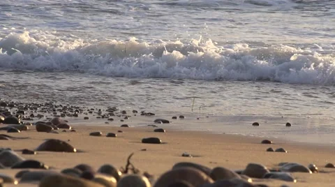 Waves on The Golden Sand At Sunset Slow Motion Stock Footage 49741189