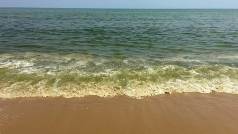 Waves of green algae coming ashore on an empty beach from the ocean in slow mo Stock Footage 72363957