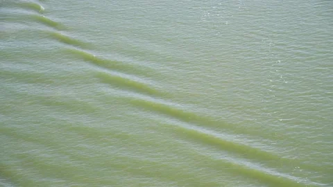 Waves on green river water Stock Footage 195932283