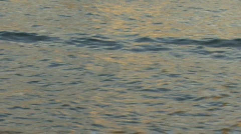 Waves In Hillsborough River Stock-Footage 376931